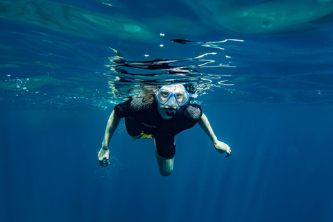 Mallorca, Alcudia: Dip & Dive – Scuba Diving for Beginners & Snorkeling Mallorca: Dip&Dive – Snorkeling & Scuba Diving (No License Required) – Cap de Formentor