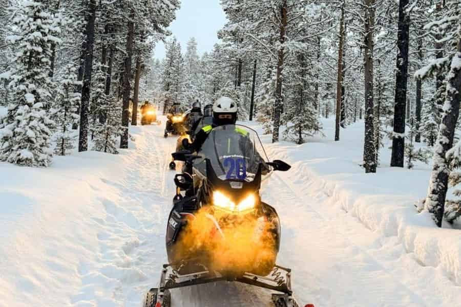 Kiruna: Geführte Schneemobiltour und schwedische Fika. Foto: GetYourGuide