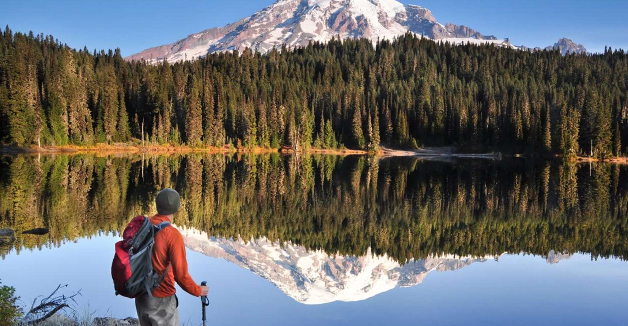 Mount Rainier National Park,Nature, Waterfalls,and Wildlife, Seattle ...