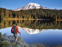 Mount Rainier National Park,Nature, Waterfalls,and Wildlife - Housity