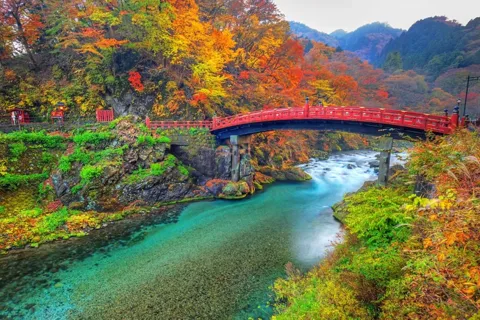Depuis Tokyo : Nikko excursion touristique privée d'une journée .