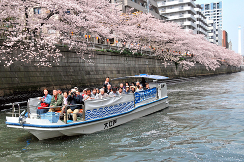 Tokyo: Meguro River Cherry Blossom Cruise from Shinagawa