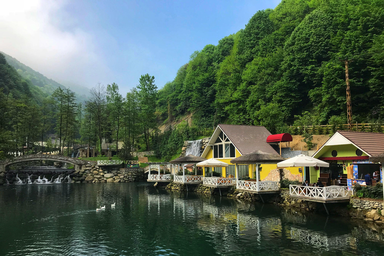 Från Istanbul: Guidad dagsutflykt till Sapanca och Masukiye