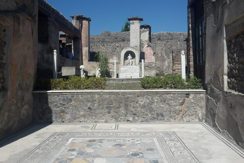 From Rome: Day Trip to Pompei