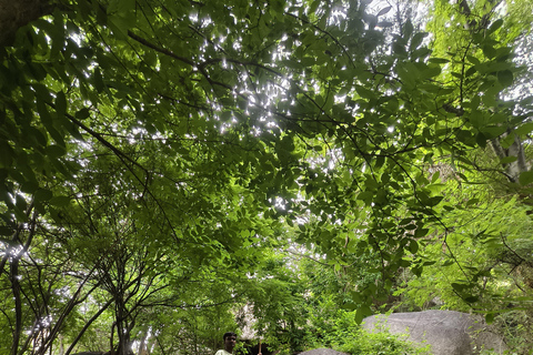 From Bengaluru: Devarayana Durga Guided Day Trip