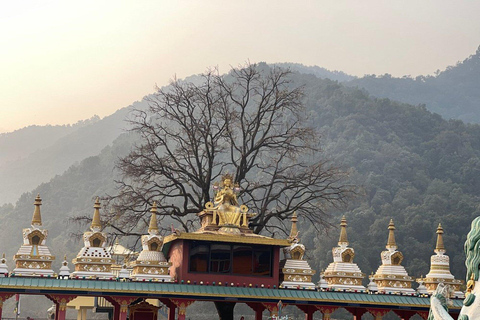 Pokhara: Guided Tibetan Monastery Tour with Afternoon Prayer