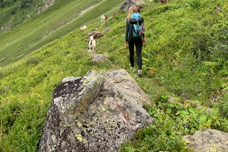 Off the beaten path -Waterfalls, streams and glaciers