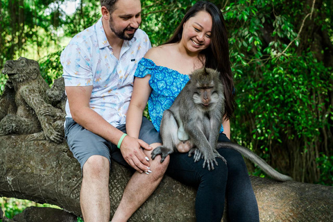 Ubud: wodospad, świątynia na wodzie, taras widokowy, targ w Ubud