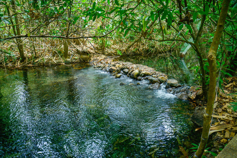 Escapade privée à Krabi : Piscine d'émeraude, sources d'eau chaude et grotte du tigreFourgon privé