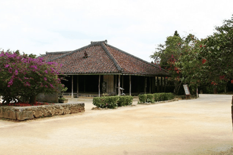 Naha: tour privato alla scoperta del nord di OkinawaNaha: alla scoperta del nord di Okinawa - Tour privato