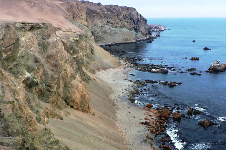 From Nazca : excursion to San Fernando bay + sandboarding