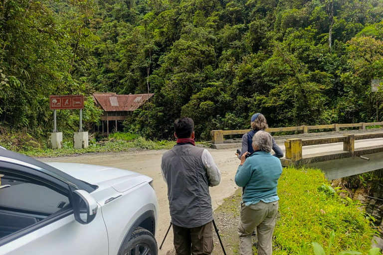 From Cusco: Manu National Park 4-Day Wildlife Expedition