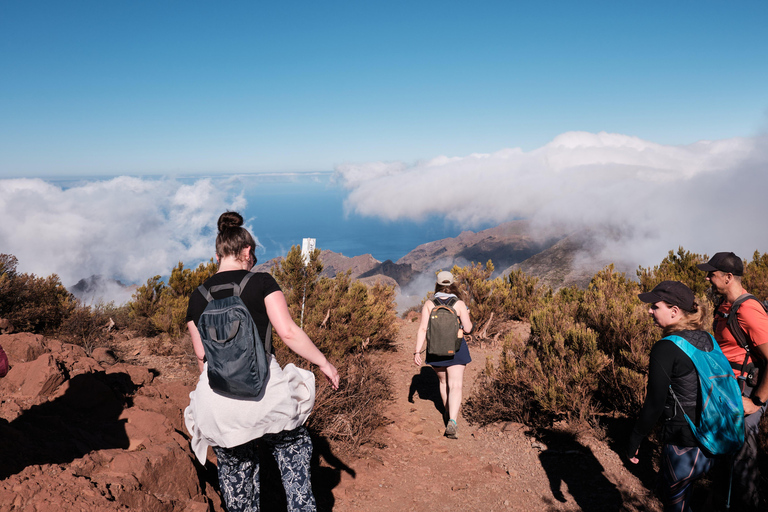 Tenerife: Hike Above Masca in Enchanted Forest with Pick-up