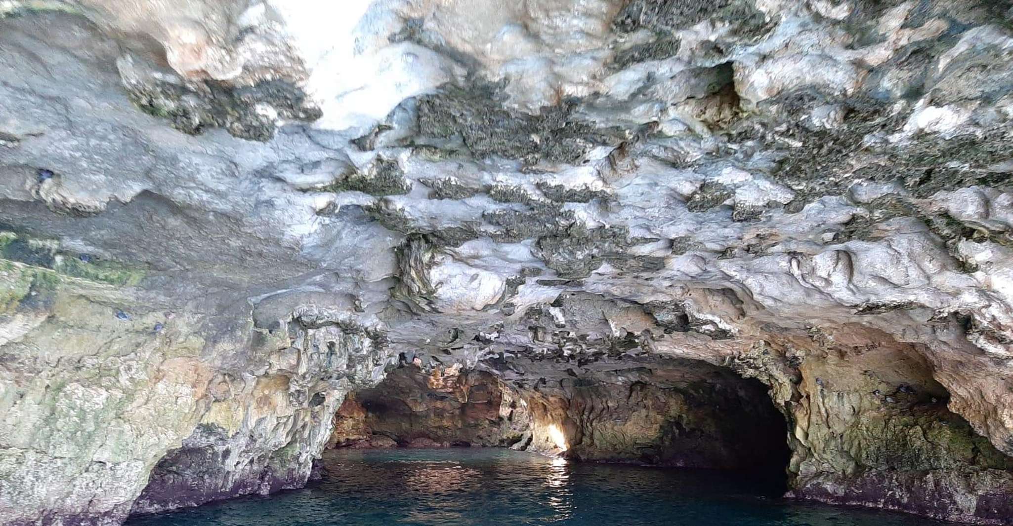 Monopoli, 2.5h Croisière en gozzo à Polignano a Mare Caves - Hizvo