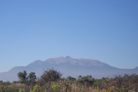 Caminhada na Cidade do México: Escale o pico mais alto com um guia localTour particular