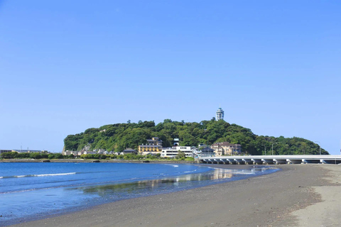 From Tokyo: Aikawa Park & Enoshima Private Family Day Trip From Tokyo: Private Family Trip to Aikawa Park & Enoshima