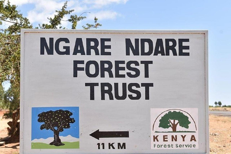 Nairobi: Caminhada pela Floresta Ngare Ndare e Canopy WalkNairobi: Caminhada pela Floresta Ngare Ndare e Passeio pela Copas das Árvores