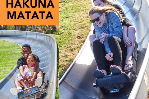 Cape Town: Cool Running/Toboggan Adventure and Hotel Pickup