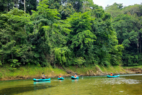 Panama: The Chagres Rainforest Experience Tour in spanish