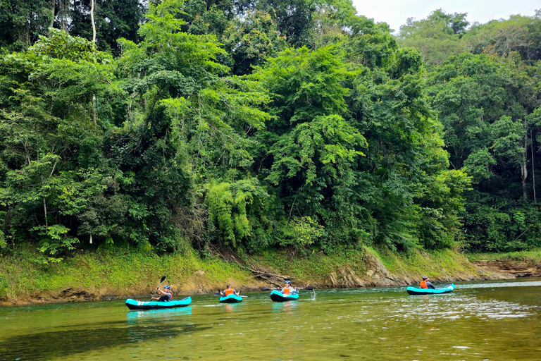 Panama: Das Chagres-RegenwalderlebnisTour auf spanisch