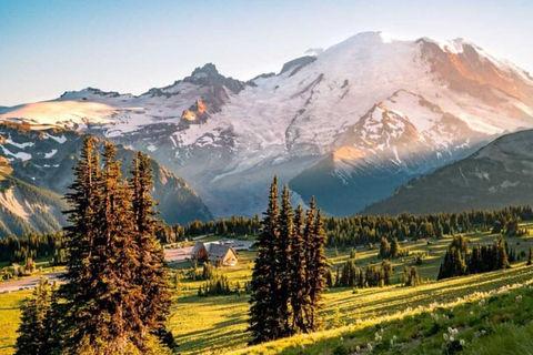 Visite privée du Mont Rainier au départ de Portland