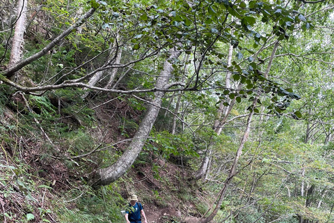 Sapporo: Soranuma-Dake Overnight Trek in Shikotsu-Toya NP