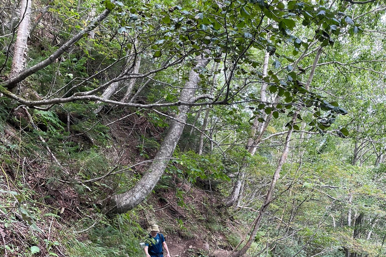 Sapporo: Soranuma-Dake Overnight Trek in Shikotsu-Toya NP