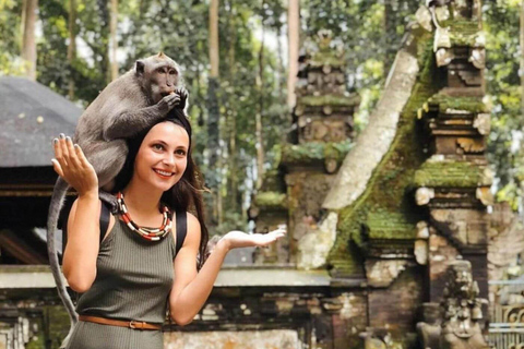Ubud: Monkey Forest, Rice Terrace, Waterfall Private Tour Private Tour Without Entry Tickets