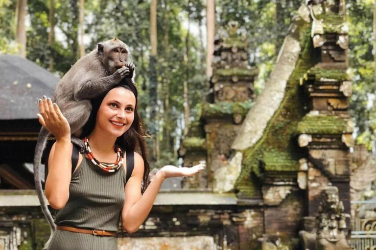 Ubud: Monkey Forest, Rice Terrace, Waterfall Private Tour Private Tour Without Entry Tickets