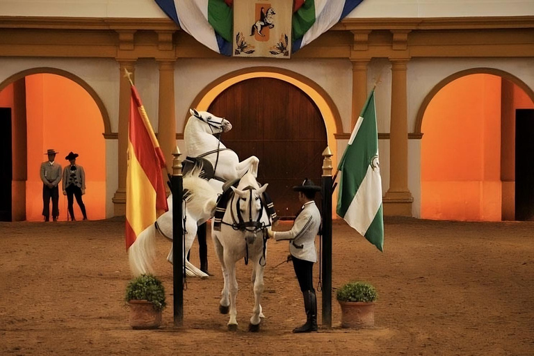 Jerez dalla Costa del Sol: cantine con degustazione di vini e spettacolo equestreJerez from the Costa del Sol: Wineries with Wine Tasting and Equestrian Show