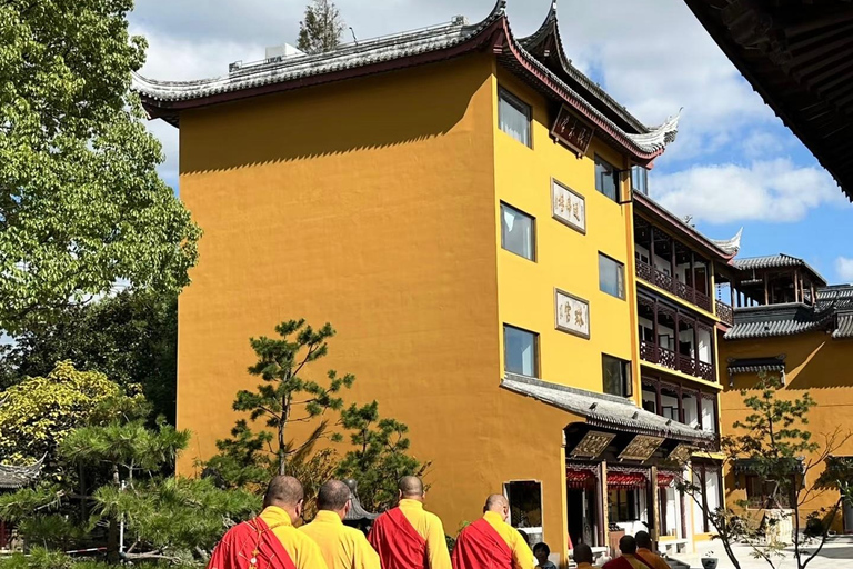 上海至崇明：生态·文化·体验之旅西班牙语、法语或俄语指南