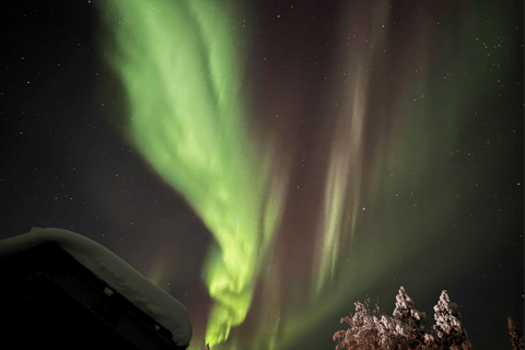 Northern Lights Hunt – Small Mixed Group from Levi or Ylläs