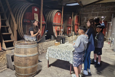 DOURO VALLEY: Premium Wine Tour, guidad kryssning och vingårdslunchPrivat tur