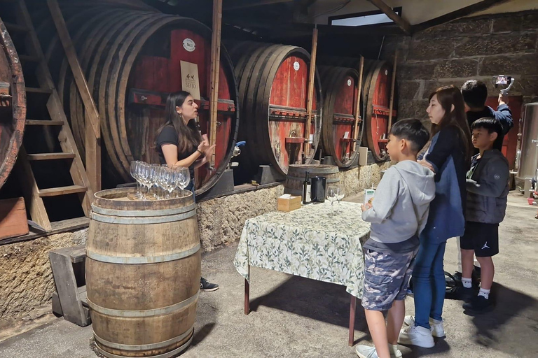 DOURO VALLEY: Premium Wine Tour, Cruise & Winery´s Lunch Shared Group Tour with Hotel Pick-up and Drop-Off