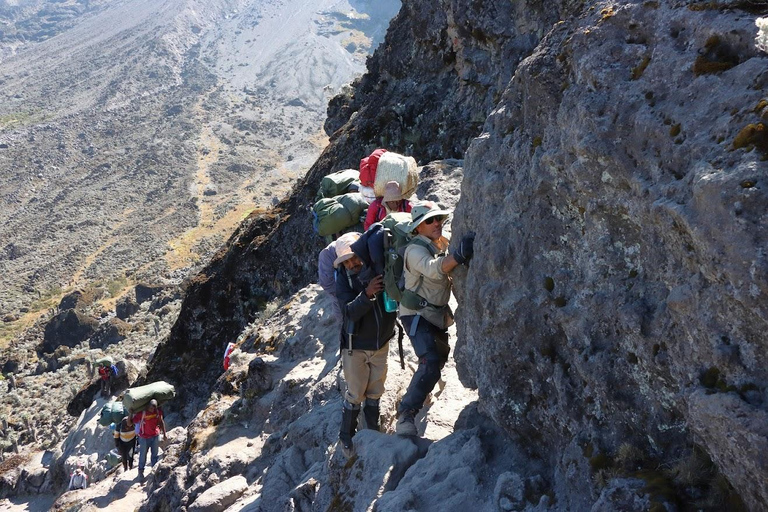 Parque Nacional do Kilimanjaro - 8 dias na Rota de Lemosho