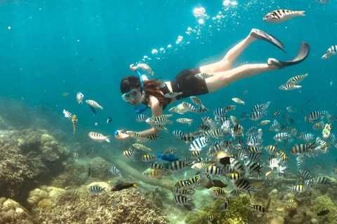 Excursión exclusiva a Gili Nanggu, Sudak y Kedis con GoProGrupos pequeños privados