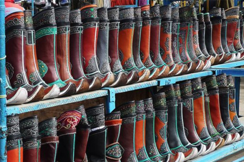 Ulaanbaatar: Guided City Tour with Private Transport