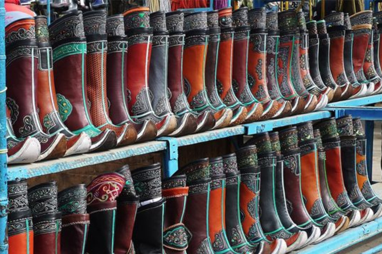 Ulaanbaatar: Guided City Tour with Private Transport