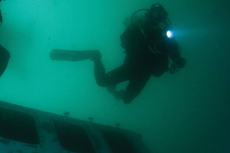 Double Dive at the Ocean Revival Park