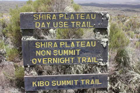 Excursión guiada de día completo a la meseta de Shira, en el monte Kilimanjaro