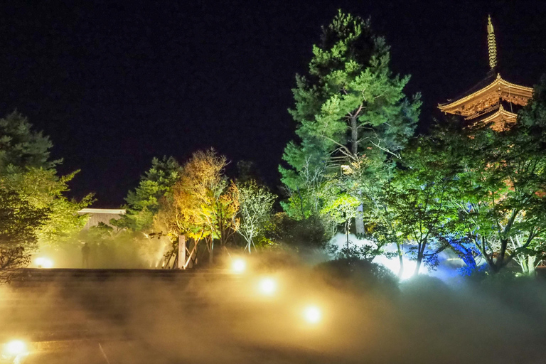 Ninnaji Temple: Special Entry for Unkai Light-up & Kannon-do Unkai (cloud sea) Light-up Entry Ticket