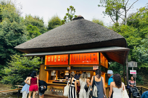 Visite privée d&#039;une journée à Kyoto