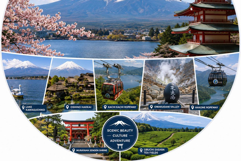 From Tokyo: Mt. Fuji Views Private Customize Itinerary Tour