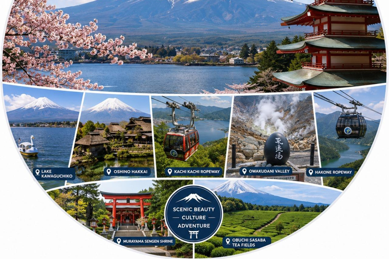 From Tokyo: Mt. Fuji Views Private Customize Itinerary Tour