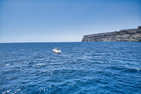 Puerto de Mogán: Privatyacht für bis zu 10 Personen