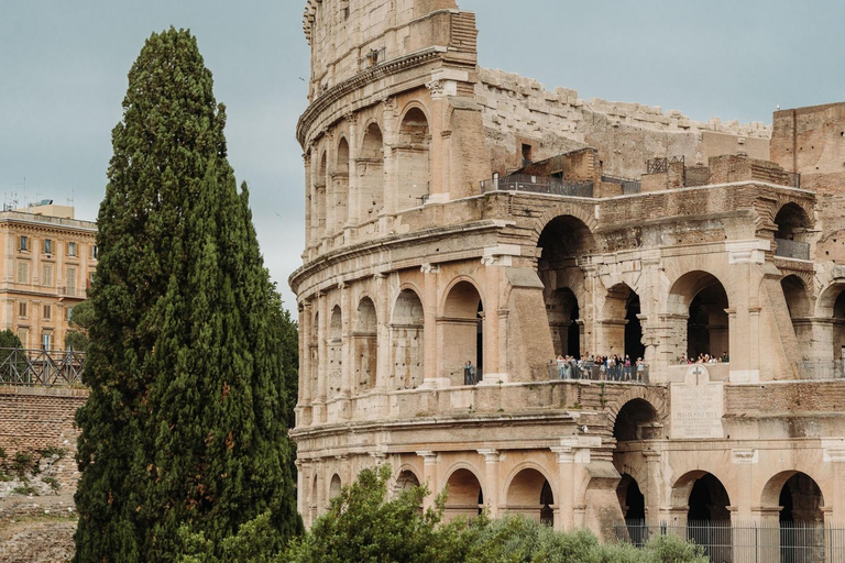 Rome: Colosseum, Roman Forum & Palatine Hill Guided Tour Colosseum, Roman Forum & Palatine Hill Tour in English