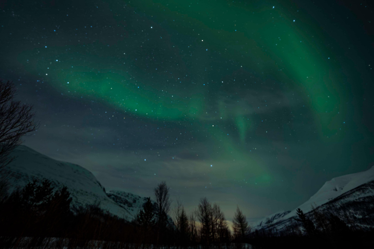 Tromsø: Electric Snow Scooter Ride and Northern Lights Hunt