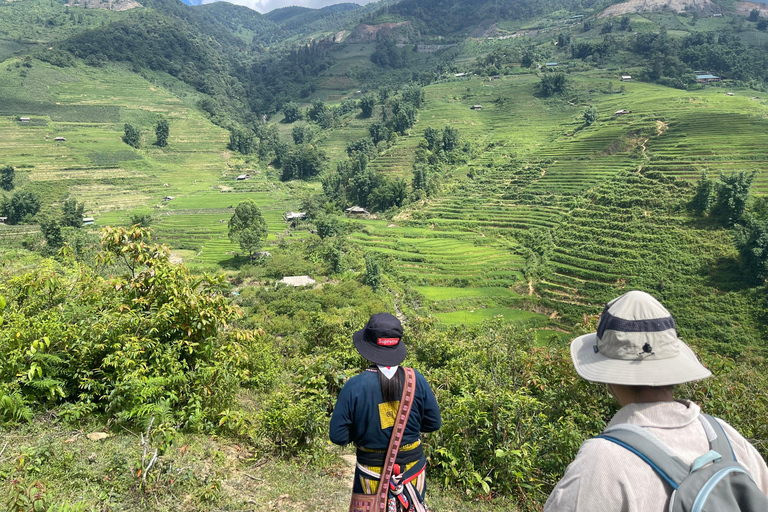 Randonnée dans le village de Red Dao et bain aux herbes