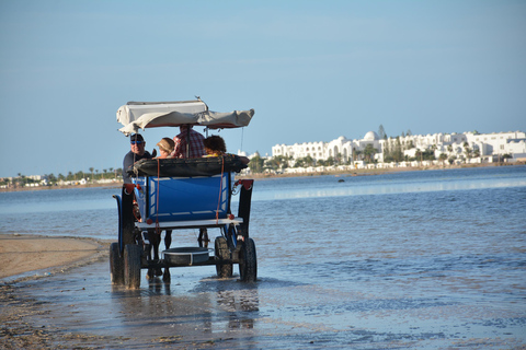 Djerba: passeio de carruagem de meio dia e almoço à beira-mar