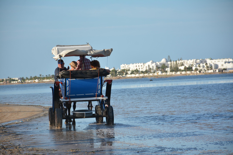 Djerba : Paseo de medio día en carruaje y almuerzo a orillas del mar